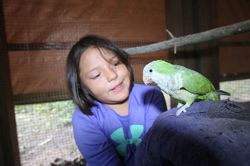 Kid sharing with a bird summer camp advice