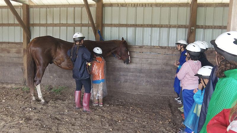 Summer Camp kids having fun with animals